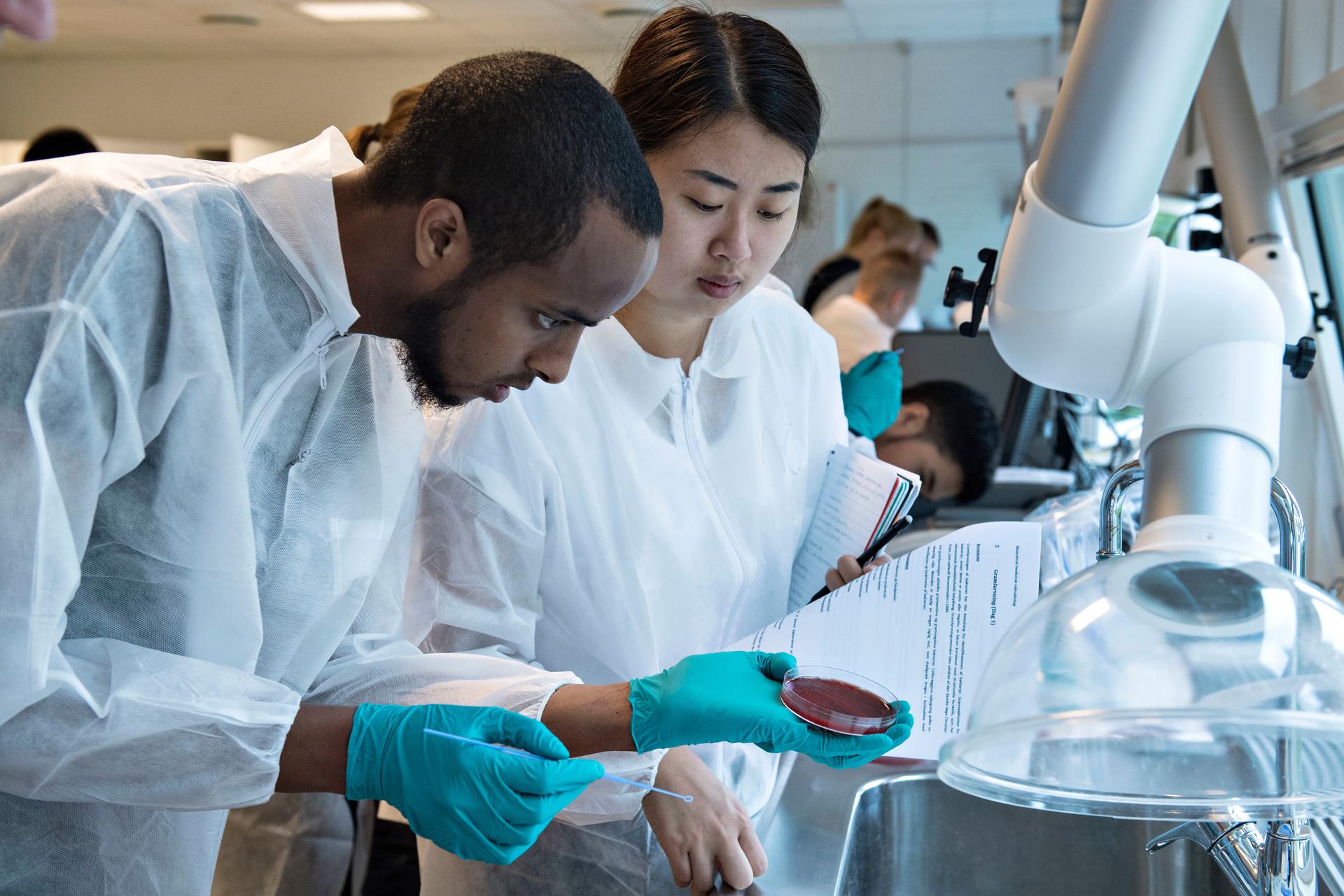 Studerende på institut for medicin og sundhedsteknologi